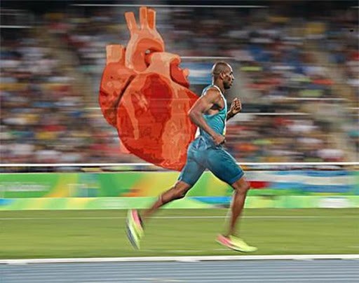 Entenda tudo sobre a frequência cardíaca dos atletas de alto rendimento